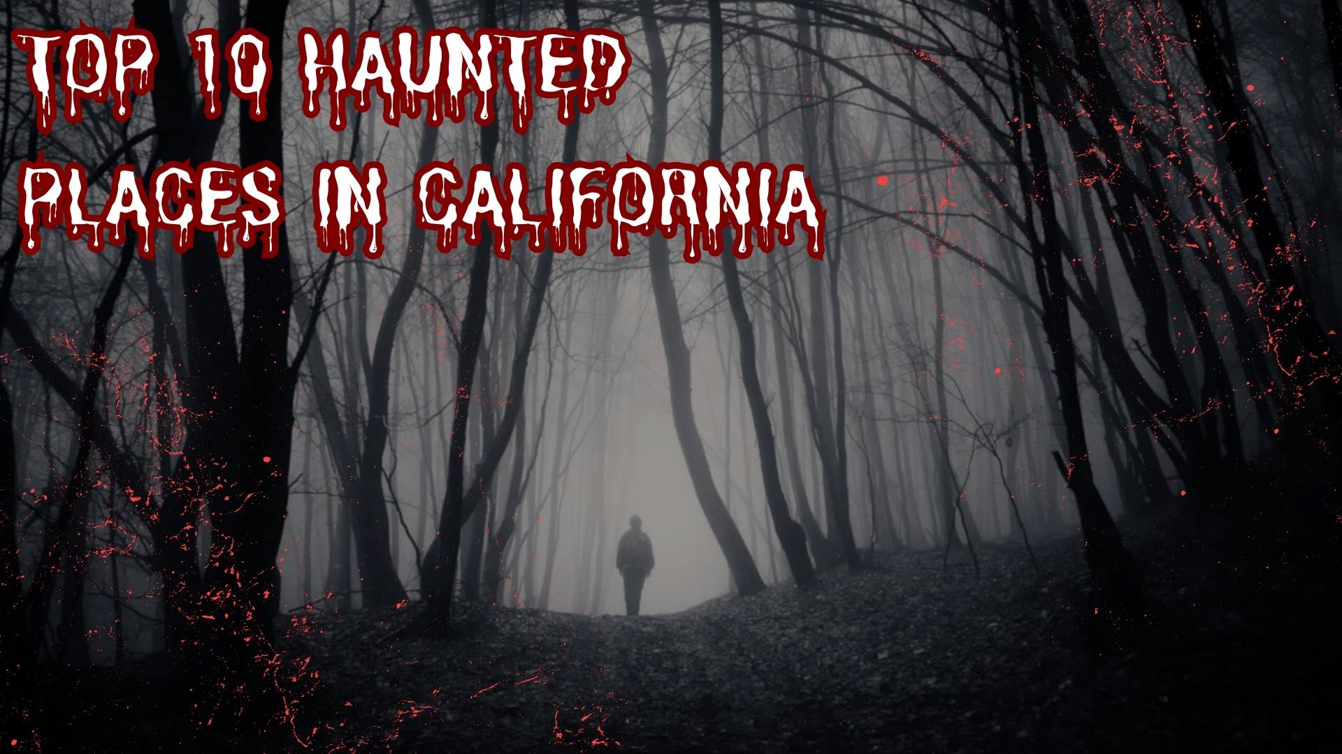 Haunted Places in California, Buzzonnet