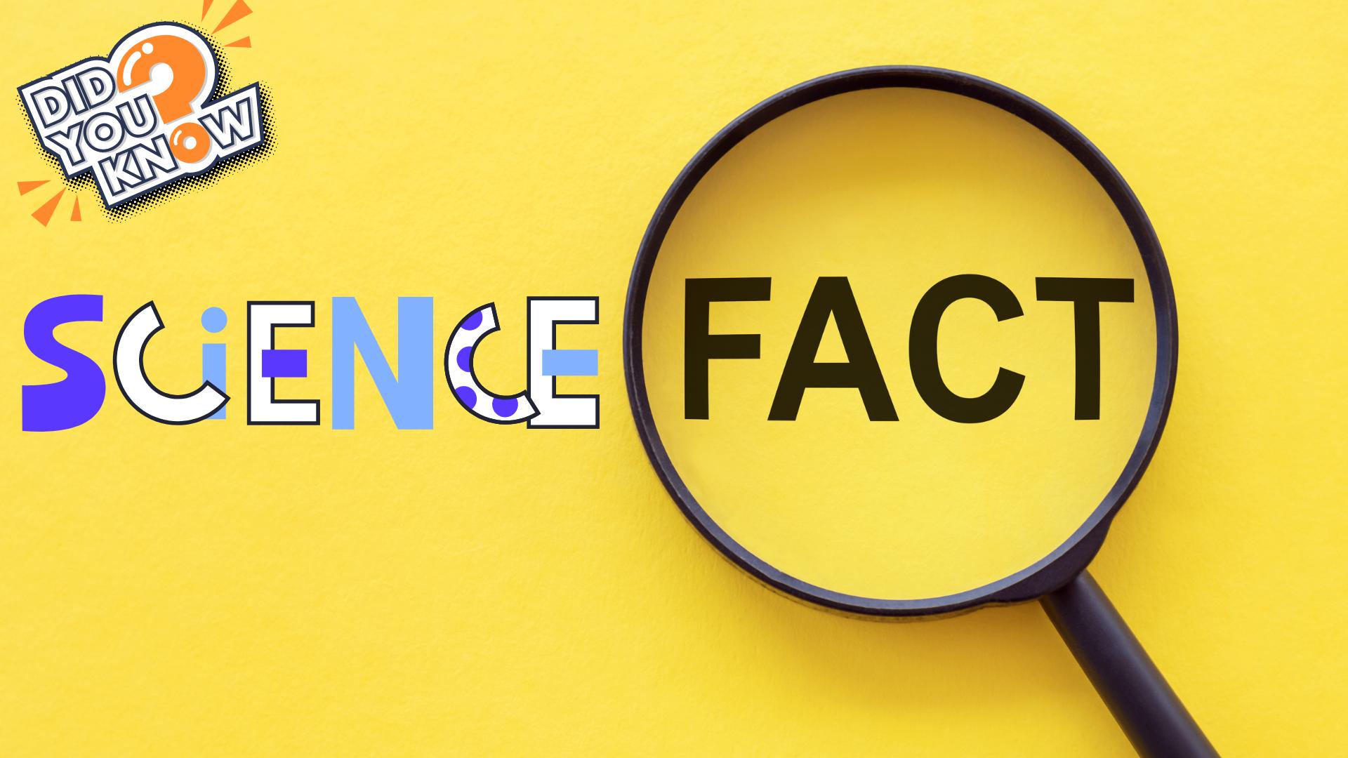 Unveiling the Wonders of Science: 10 Mind-Blowing Science Facts That Will Ignite Your Curiosity