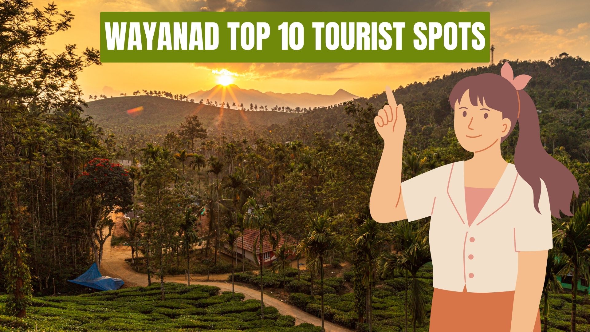 Wayanad Tourist Places, Buzzonnet