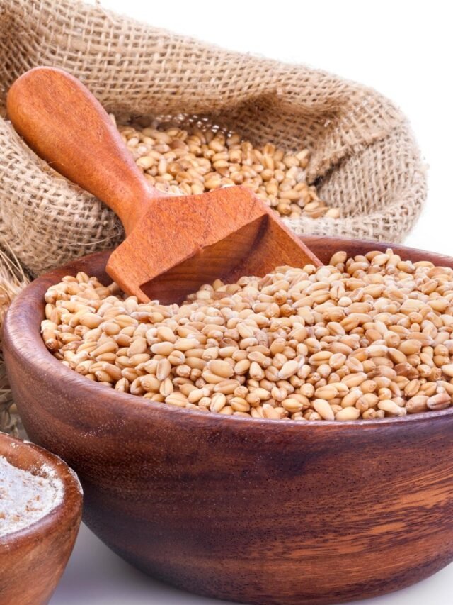 Top 10 Largest Wheat Producing Countries in the World