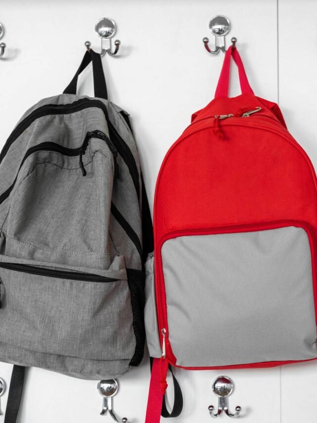 10 Best Backpack Brands in India